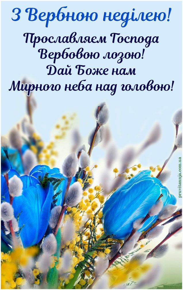 Верона неділя 2025 картинки патріотичні - 706220 Верона неділя 2025 картинки патріотичні - фото 706220