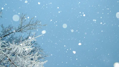 Знаменитости с юмором отреагировали на снег в апреле