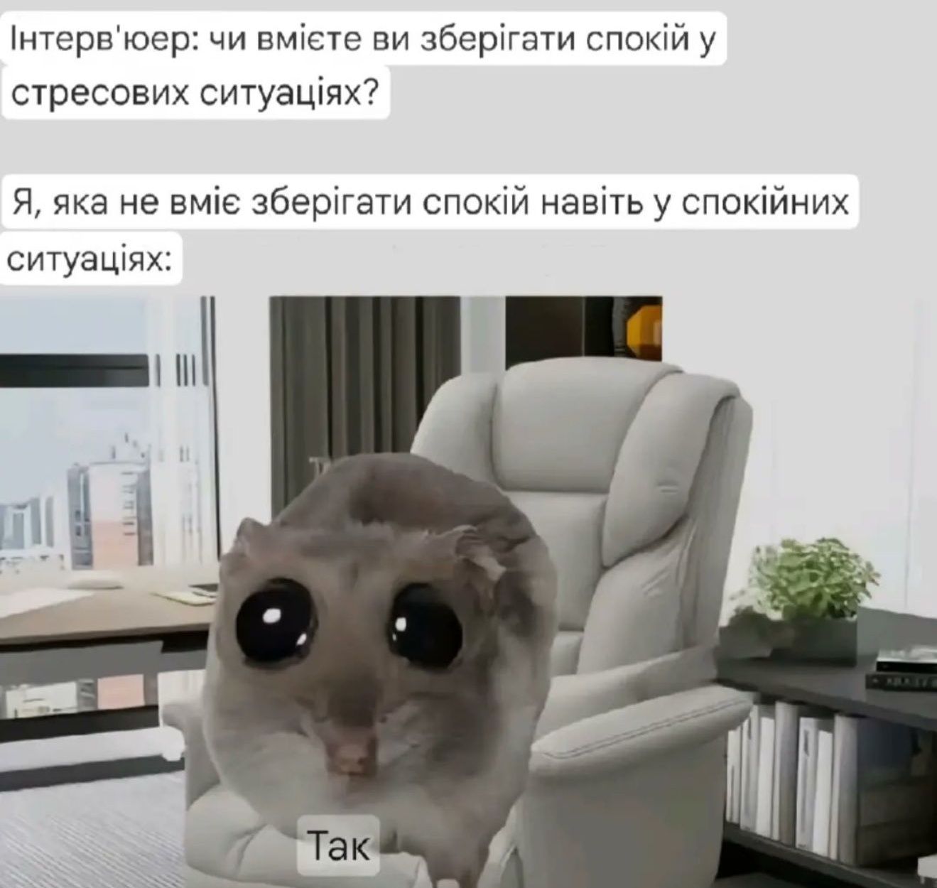 Украинцы показали любимые мемы, и вот что из этого получилось - 707121 Украинцы показали любимые мемы, и вот что из этого получилось - фото 707121