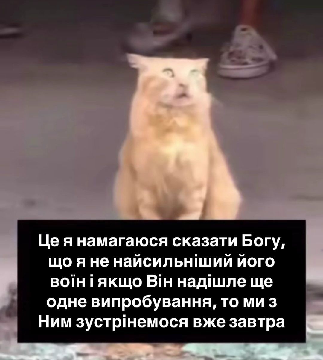 Украинцы показали любимые мемы, и вот что из этого получилось - 707131 Украинцы показали любимые мемы, и вот что из этого получилось - фото 707131