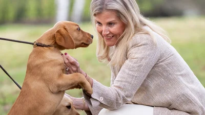 Не лише для літа: герцогиня Софі показала, як їх носити круглий рік