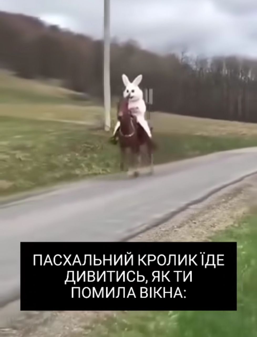 Мемы о мытье окон на Пасху — почему возникла эта традиция - 709732 Мемы о мытье окон на Пасху — почему возникла эта традиция - фото 709732