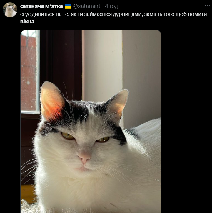 Мемы о мытье окон на Пасху — почему возникла эта традиция - 709737 Мемы о мытье окон на Пасху — почему возникла эта традиция - фото 709737