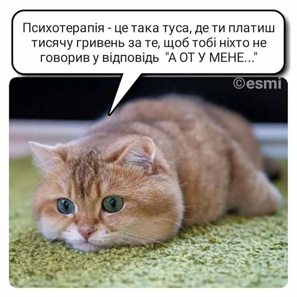 Меми про психологію: так виглядає емоційне вигорання в картинках - 709858 Меми про психологію: так виглядає емоційне вигорання в картинках - фото 709858
