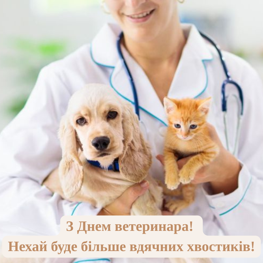 Привітання у прозі до Дня ветеринара - 710635 Привітання у прозі до Дня ветеринара - фото 710635