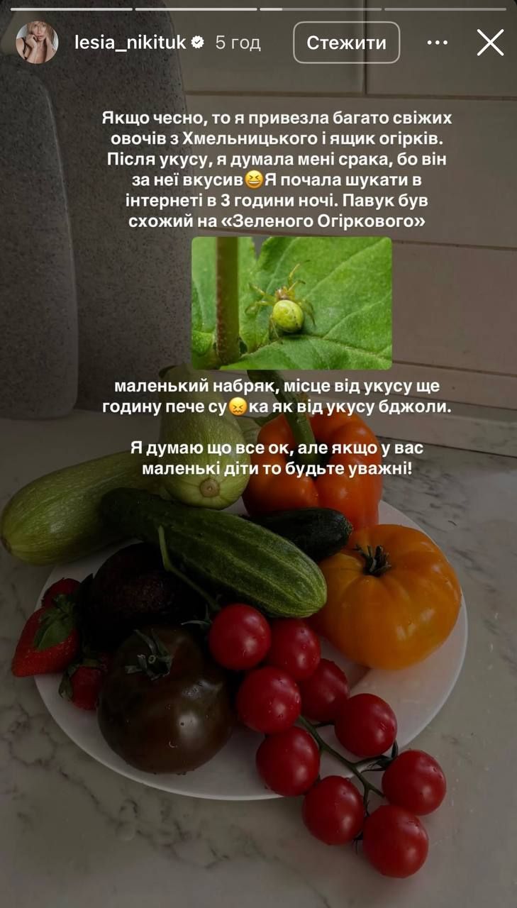 За чутками вагітна Нікітюк втрапила в халепу: 'Пів світу облітала, шоб в Києві огірковий павук вкусив' - 712998 За чутками вагітна Нікітюк втрапила в халепу: 'Пів світу облітала, шоб в Києві огірковий павук вкусив' - фото 712998