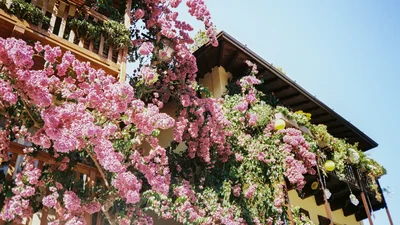 Куда надо ехать за вдохновением в мае: 5 европейских направлений