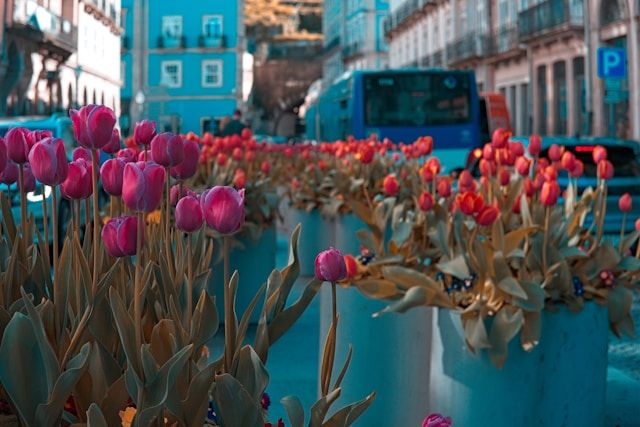 Куда надо ехать за вдохновением в мае: 5 европейских направлений - фото 713190