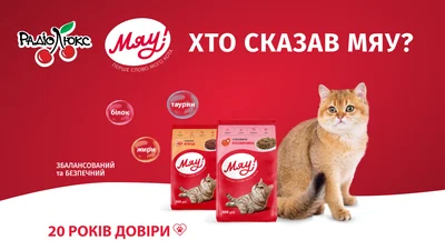 Кто сказал Мяу: регистрируйся и угадывай хиты от люксовой кисы