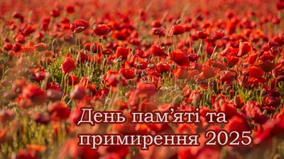 День памяти и примирения 2025 - открытки и проза, которые заставляют сердце биться чаще