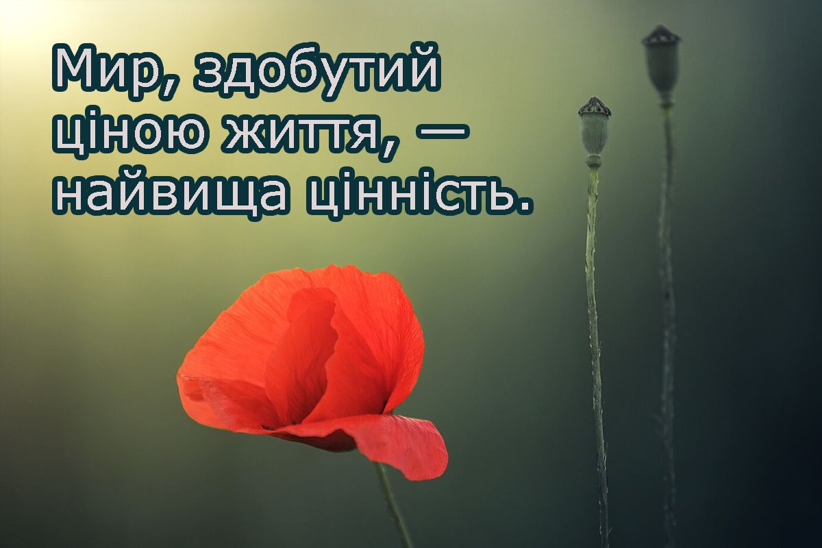 День памяти и примирения 2025 - открытки и проза, которые заставляют сердце биться чаще - 714840 День памяти и примирения 2025 - открытки и проза, которые заставляют сердце биться чаще - фото 714840