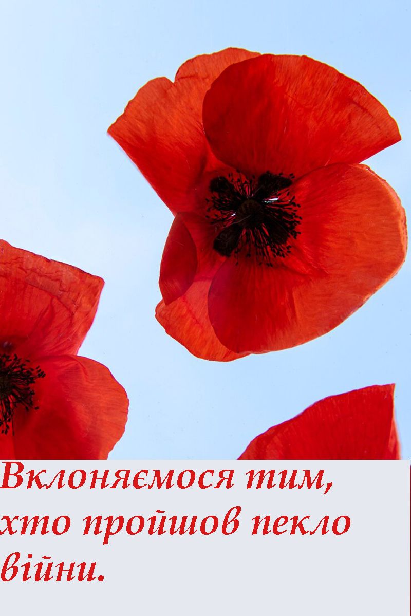 День памяти и примирения 2025 - открытки и проза, которые заставляют сердце биться чаще - 714841 День памяти и примирения 2025 - открытки и проза, которые заставляют сердце биться чаще - фото 714841