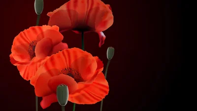 Чому 9 травня вже не наше свято: європейський вибір замість радянського "побєдобєсія"