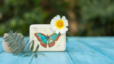 Привітання з Днем ангела Миколи 2025 - яскраві листівки та вірші українською до свята