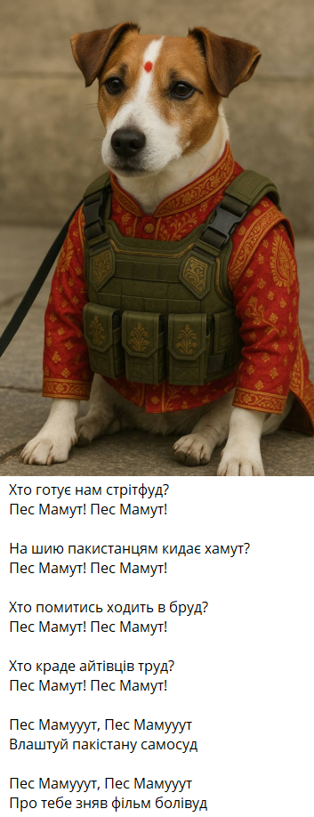 Мемы о войне между Индией и Пакистаном, которые борются за Кашмир - 715691 Мемы о войне между Индией и Пакистаном, которые борются за Кашмир - фото 715691