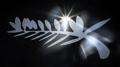 10 фильмов Каннского кинофестиваля, которые сейчас обсуждают все