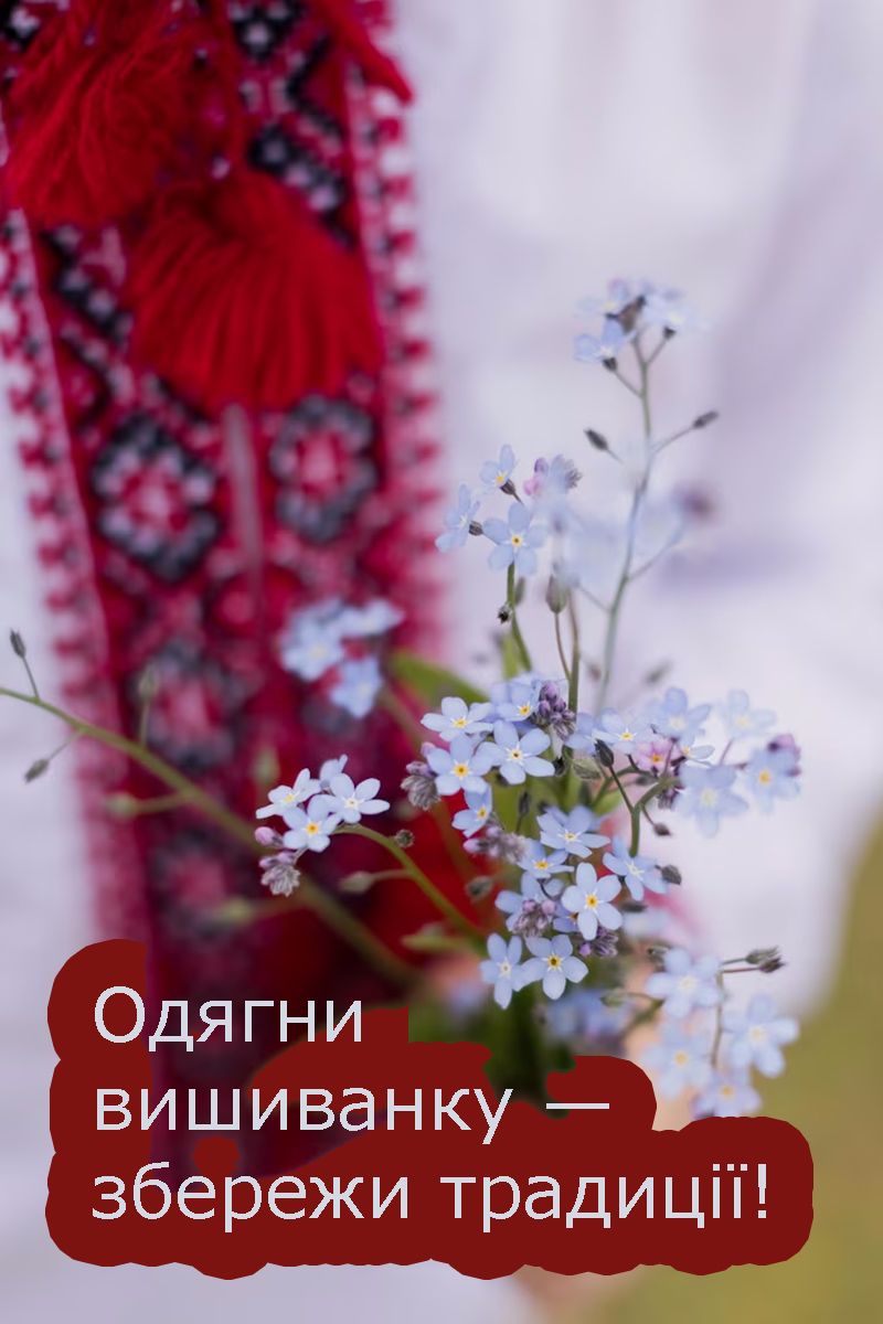 Готовые открытки и эмоциональные поздравления ко Дню вышиванки 2025, которые понравятся всем - 718201 Готовые открытки и эмоциональные поздравления ко Дню вышиванки 2025, которые понравятся всем - фото 718201