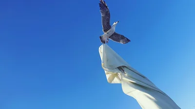 Теплые поздравления с Вознесением 2025 - особые картинки и короткая проза для родных