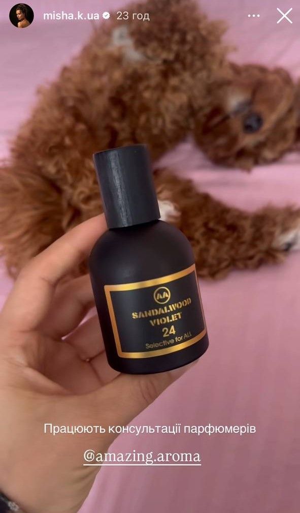 Amazing Aroma - 24 Sandalwood Violet - 722455 Amazing Aroma - 24 Sandalwood Violet - фото 722455