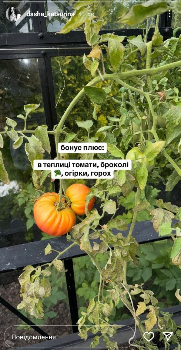 Дантес и Кацурина переезжают — фото, как выглядит дом пары - 722523 Дантес и Кацурина переезжают — фото, как выглядит дом пары - фото 722523
