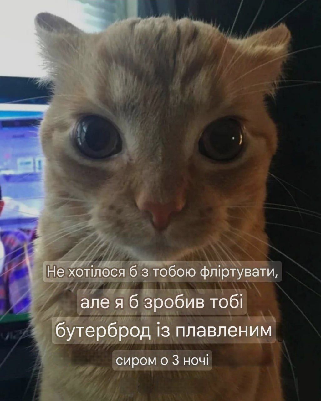 Мемы о флирте, который не всегда удается - 722625 Мемы о флирте, который не всегда удается - фото 722625