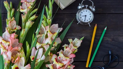 Останній дзвоник 2025 - картинки та привітання своїми словами, щоб надіслати вчителю