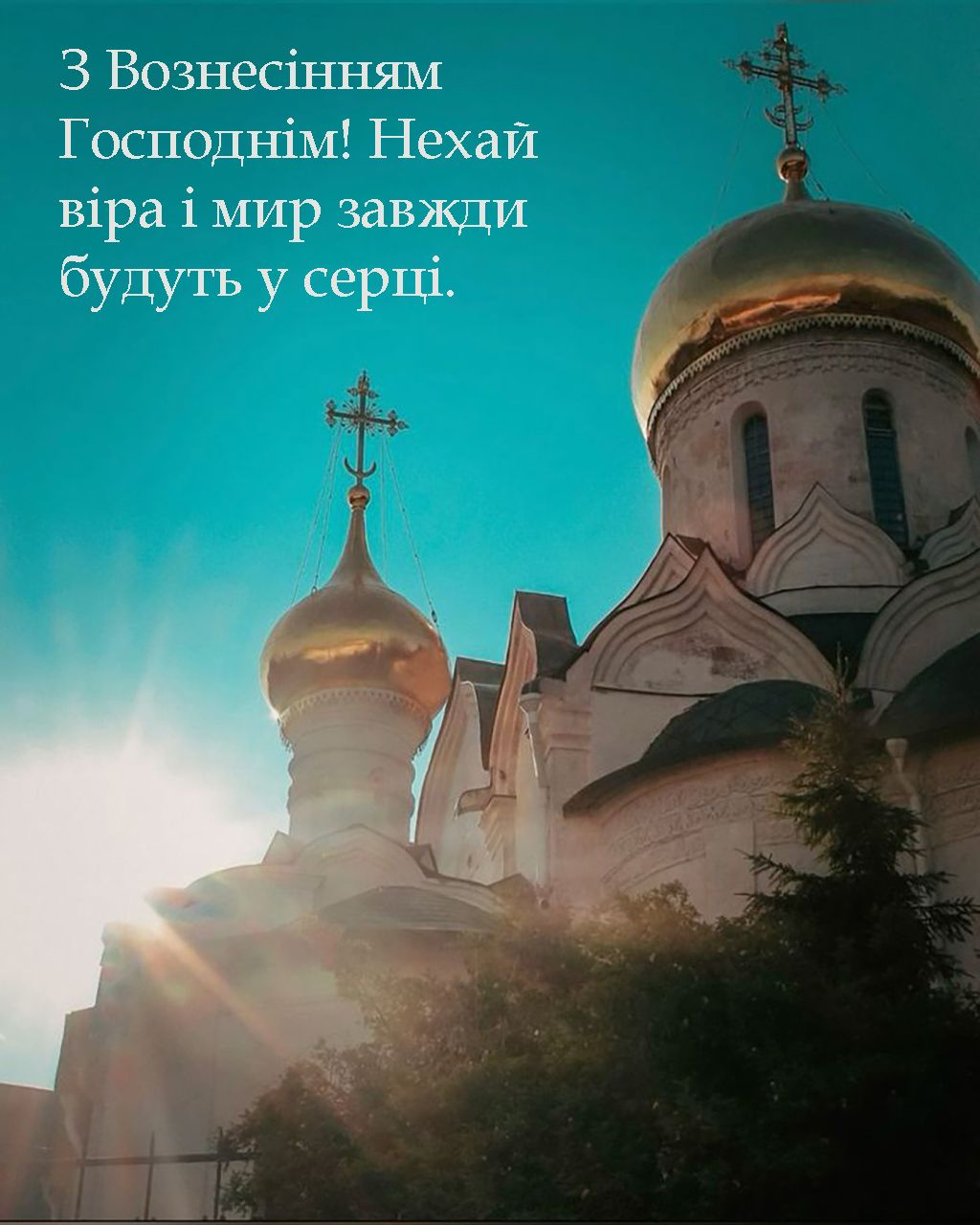 С Вознесением Господним 2025 - красивые картинки и поздравления своими словами - 722915 С Вознесением Господним 2025 - красивые картинки и поздравления своими словами - фото 722915