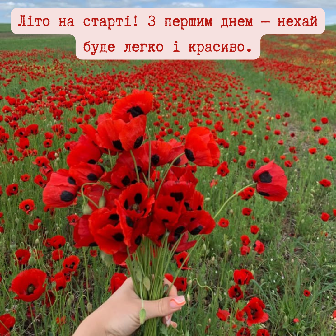 С первым днем лета: вайбовые поздравления и открытки для друзей и не только - фото 723577