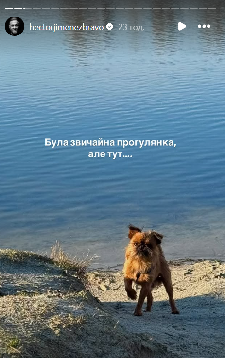 'Клопик не понял, что случилось': Эктор Хименес-Браво показал своих собачек на прогулке и их встречу с лебедями - 724526 'Клопик не понял, что случилось': Эктор Хименес-Браво показал своих собачек на прогулке и их встречу с лебедями - фото 724526