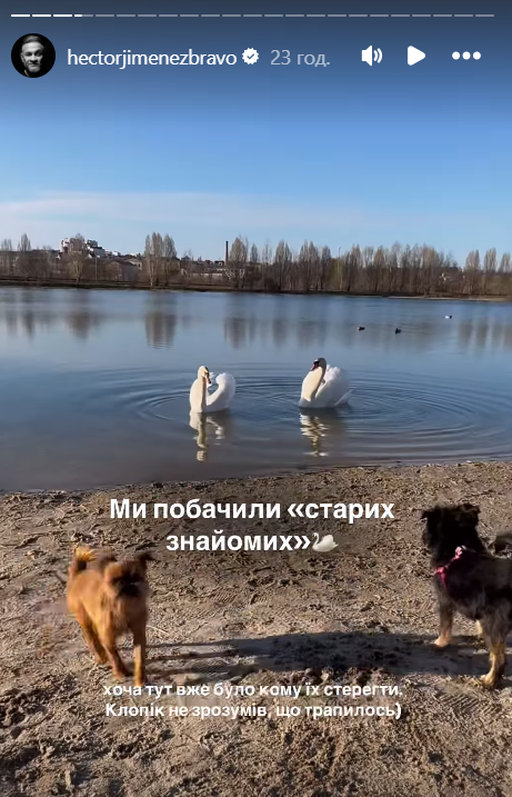 'Клопик не понял, что случилось': Эктор Хименес-Браво показал своих собачек на прогулке и их встречу с лебедями - 724527 'Клопик не понял, что случилось': Эктор Хименес-Браво показал своих собачек на прогулке и их встречу с лебедями - фото 724527