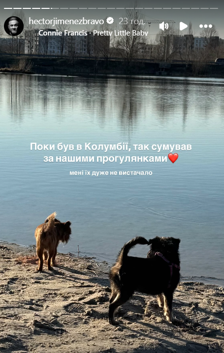 'Клопик не понял, что случилось': Эктор Хименес-Браво показал своих собачек на прогулке и их встречу с лебедями - 724529 'Клопик не понял, что случилось': Эктор Хименес-Браво показал своих собачек на прогулке и их встречу с лебедями - фото 724529