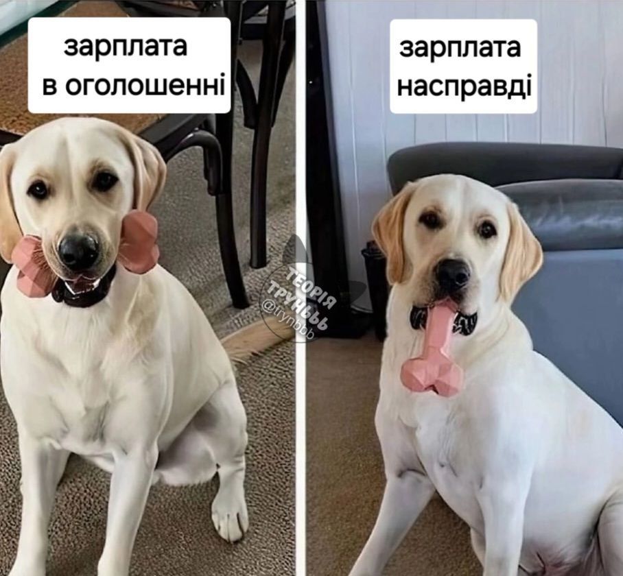 Меми про пошук роботи, коли очікування і реальність — це дві паралелі - 726248 Меми про пошук роботи, коли очікування і реальність — це дві паралелі - фото 726248