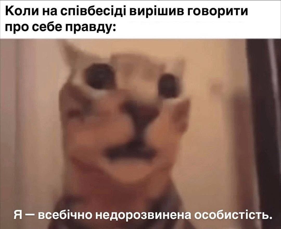Меми про пошук роботи, коли очікування і реальність — це дві паралелі - 726253 Меми про пошук роботи, коли очікування і реальність — це дві паралелі - фото 726253