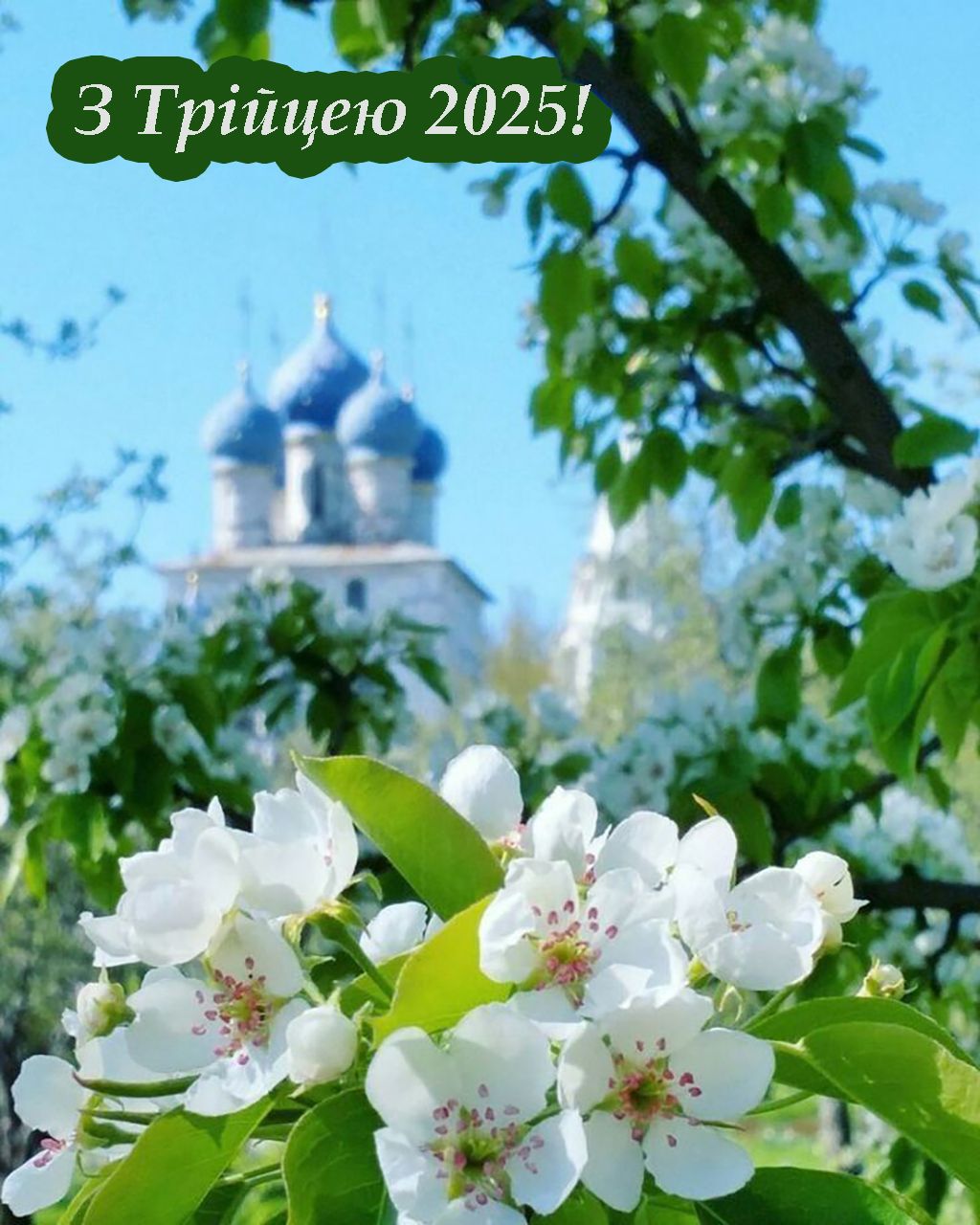 Милые открытки и картинки для поздравления с Зелеными праздниками 2025, чтобы сделать этот праздник еще лучше - 726267 Милые открытки и картинки для поздравления с Зелеными праздниками 2025, чтобы сделать этот праздник еще лучше - фото 726267