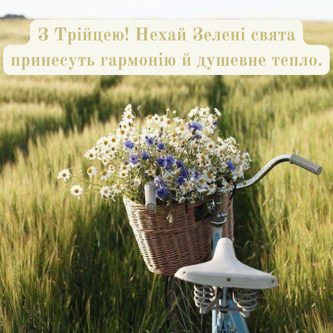Зеленое благословение: подборка искренних и торжественных поздравлений с Троицей - фото 726727