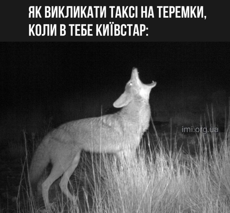 Мемы о Киеве, над которыми хочется смеяться и плакать - 726901 Мемы о Киеве, над которыми хочется смеяться и плакать - фото 726901