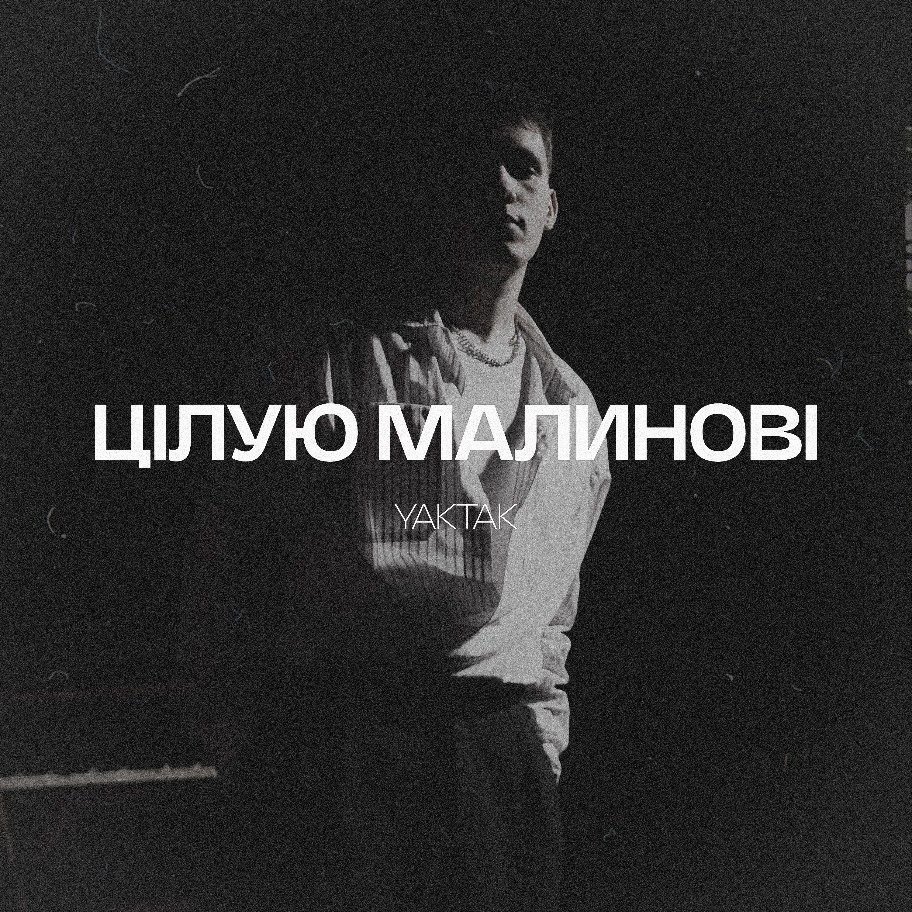 YAKTAK экспериментирует с новым звучанием в треке 'Цілую малинові' - слушай, что получилось - фото 727306