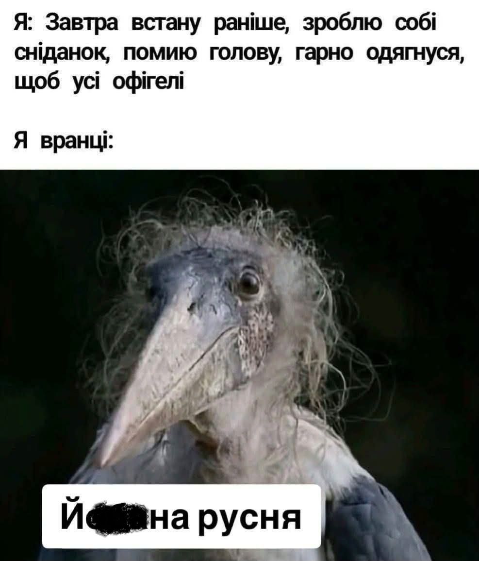 Соцмережі - фото 728396