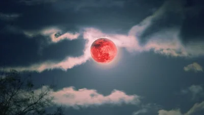 Клубничная Луна: когда украинцы могут увидеть редкое явление