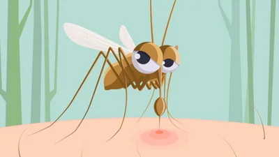 Меми про комарів: смішно, правдиво та починає свербіти