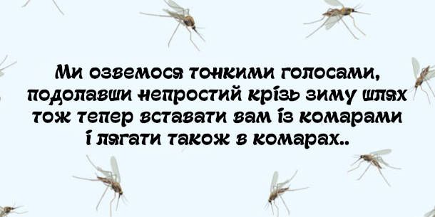 Меми про комарів: смішно, правдиво та починає свербіти - 730161 Меми про комарів: смішно, правдиво та починає свербіти - фото 730161