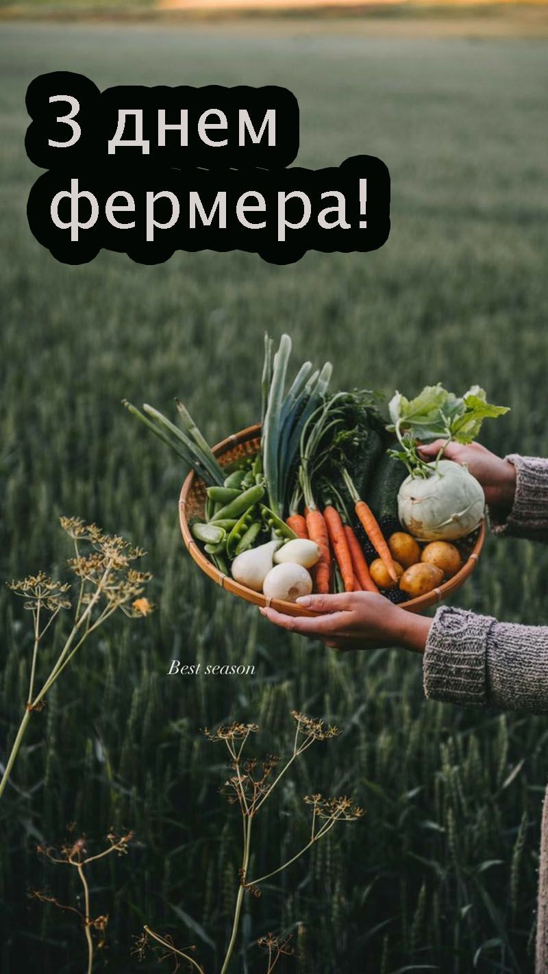 Поздравления с Днем фермера 2025 - открытки короткая проза, которая добавляет веры в свою работу - 730350 Поздравления с Днем фермера 2025 - открытки короткая проза, которая добавляет веры в свою работу - фото 730350