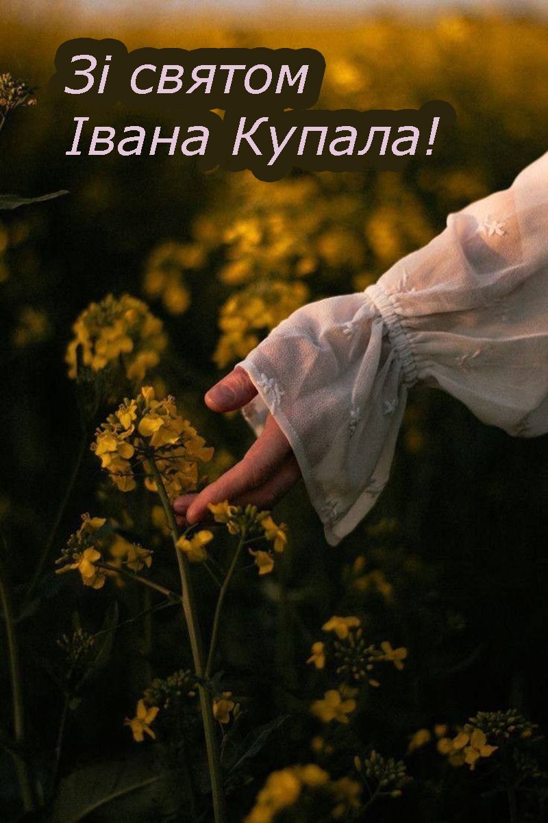 картинки привітання з святом Івана Купала - 733152 картинки привітання з святом Івана Купала - фото 733152