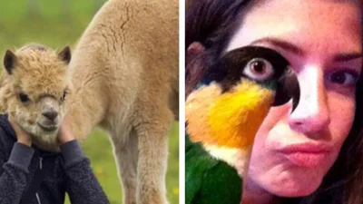 Шедевральні випадкові фото, які збивають з пантелику та здаються неможливими