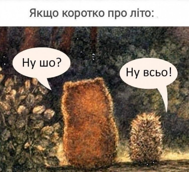Меми про літо: гарячі, іронічні й підозріло знайомі - 734125 Меми про літо: гарячі, іронічні й підозріло знайомі - фото 734125