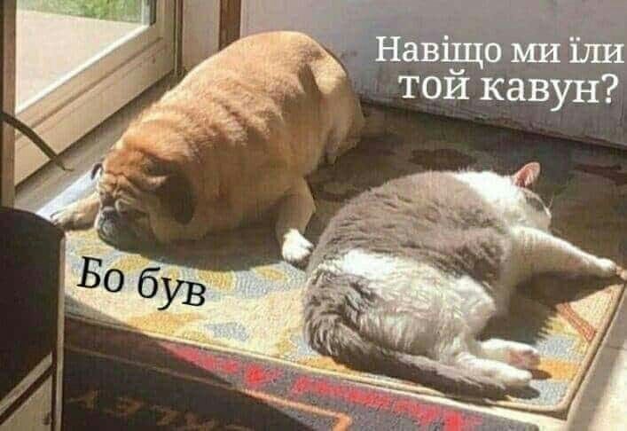 Меми про літо: гарячі, іронічні й підозріло знайомі - 734132 Меми про літо: гарячі, іронічні й підозріло знайомі - фото 734132
