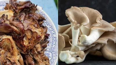 Вешенки на мангале, которые будут лучше любого мяса