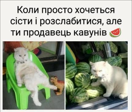Меми про кавун - соковитий, солодкий і трохи підступний - фото 737650