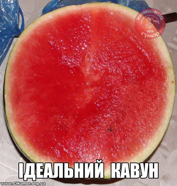 Меми про кавун - соковитий, солодкий і трохи підступний - фото 737655