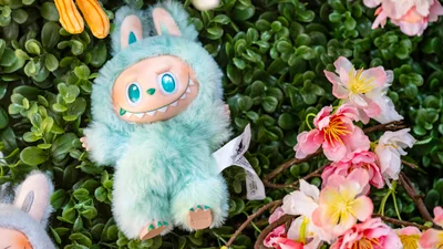 Трендовая Labubu несет угрозу детской психике - педиатр предупреждает об опасности